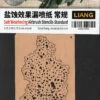 Liang Paper Airbrush Stencil Salt Weathering - Standard LIANG-0006