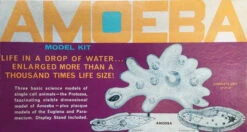 Atlantis Amoeba Single Cell Model Kit STEM L3800