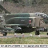 Hasegawa 1/72 Japanese RF-4C Phantom "501Sq Shark Teeth" 00772