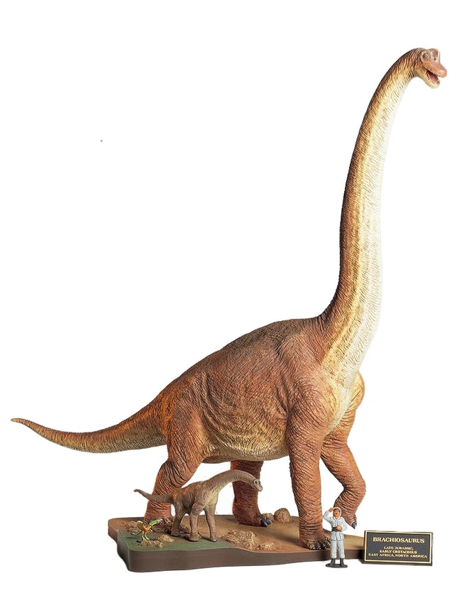 Tamiya 1/35 Brachiosaurus Dinosaur 60106 - Image 2